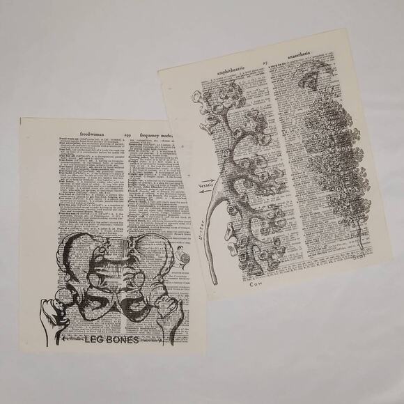 Anatomy Vintage Dictionary Prints, Anatomy Prints, Book Page Prints - Picture 4 of 10